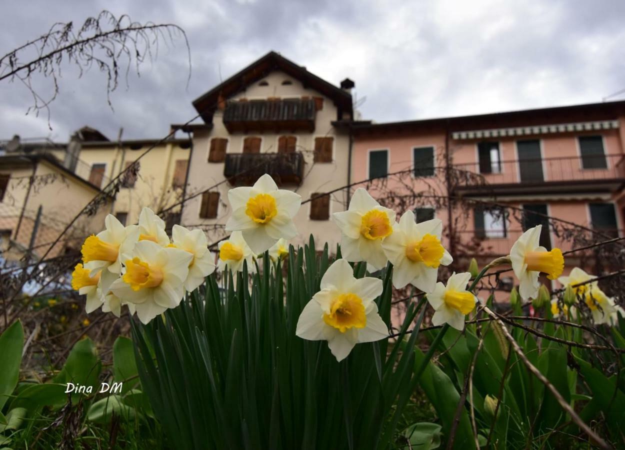 “Oltre Il Confine” Apartment Belluno Exterior photo